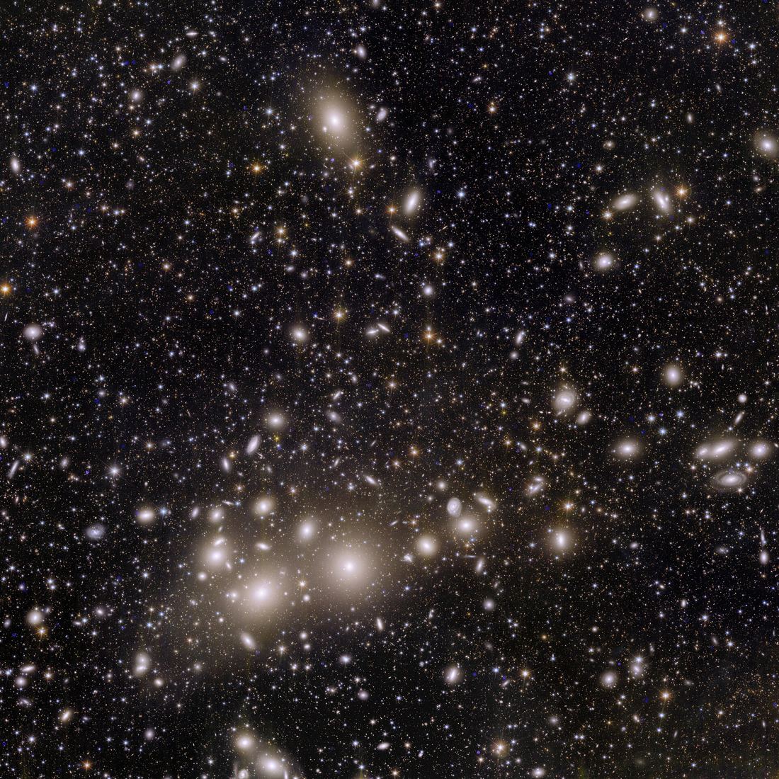 Euclid image of the Perseus galaxy cluster